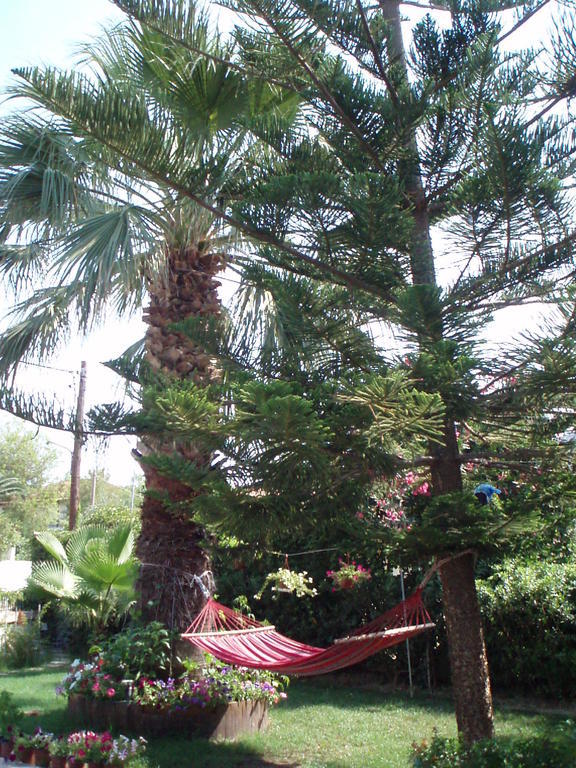 Villa Xenos Kalamaki  Exterior photo